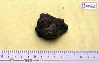藏品(碎骨)的圖片